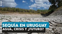 Sequía en Uruguay: falta de lluvia, campos secos y un sector productivo ...