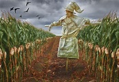 Scarecrow in a corn field, chase the birds away. | Smithsonian Photo ...
