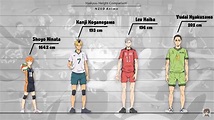 Hinata and the tallest hq boys. : r/haikyuu