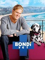 Bondi Vet: Season 7 Pictures - Rotten Tomatoes