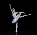 Australian Ballet – Swan Lake – Melbourne | DanceTabs