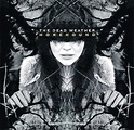 Album: The Dead Weather, Horehound (Columbia) | The Independent | The ...