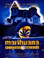 Cartel de Marihuana, el sótano maldito - Poster 1 - SensaCine.com