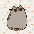 Sunglasses | Pusheen cute, Pusheen, Pusheen cat