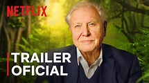 David Attenborough e Nosso Planeta | Trailer oficial | Netflix - YouTube