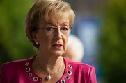 Andrea Leadsom blasts business leaders over response to Brexit deal