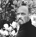 Picture of Irvin D. Yalom