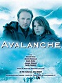Avalanche - film 2008 - AlloCiné
