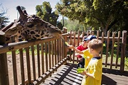 Santa Barbara Zoo to Reopen on June 23 - The Santa Barbara Independent