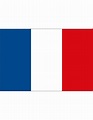 BANDEIRA FRANÇA da