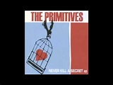 The Primitives - Never Kill a Secret - YouTube
