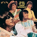 Hums of the Lovin' Spoonful [LP] VINYL - Best Buy