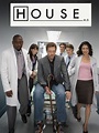 Dr. House Medical Division: cast, trama, personaggi, quante stagioni ...