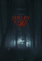 Shelby Oaks (2022) - FilmAffinity