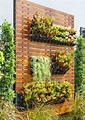 Los beneficios de tener un jardín vertical en tu hogar (FOTOS) | Telemundo