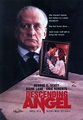 Best Buy: Descending Angel [DVD] [1990]