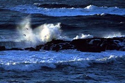 File:Pacific ocean 5.jpg - Wikipedia