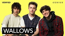 Wallows "I Don't Want To Talk" Official Lyrics & Meaning | Verified ...