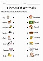 Animals and their homes worksheets for grade 1 2 3 - homes of animals ...