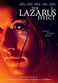 Best Buy: The Lazarus Effect [DVD] [2015] | The lazarus effect ...