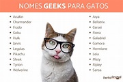 Nomes GEEKS para gatos - Mais de 80 ideias e origens!