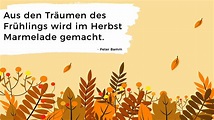 Herbst Sprüche Kurz Lustig - Spruche Sarah
