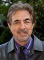 Joe Mantegna - Wikiwand