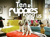 10 Puppies and Us TV Show Air Dates & Track Episodes - Next Episode