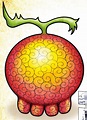 Fruta Yomi Yomi | One Piece Wiki | Fandom