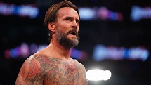 WWE Hall Of Famer Says CM Punk Has 'As Big Of An Ego' As Anyone In ...