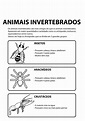 Plano de aula: Animais vertebrados e invertebrados