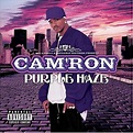 Cam'ron "Purple Haze" 10-Year Anniversary | Complex