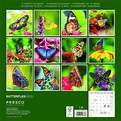 Butterflies Wall Calendar 2020 by Presco Group - Calendars