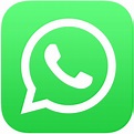 File:WhatsApp logo-color-vertical.svg - Wikipedia