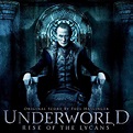 Paul Haslinger - Underworld: Rise of the Lycans - Reviews - Album of ...