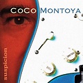 Coco Montoya : Suspicion CD (2018) - Alligator Records | OLDIES.com