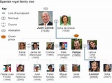 Profile: Spain's King Felipe VI - BBC News