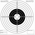 Bersagli Da Competizione Pistola Gamo | Carabinasypistolas.com