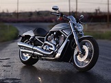 Harley Davidson VRSC - Motorcycles Photo (31816877) - Fanpop