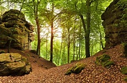 Teufelsschlucht, Naturpark Südeifel, … – Bild kaufen – 71055673 Image ...