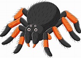 tarántula araña de dibujos animados sobre fondo blanco 5162541 Vector ...