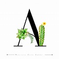 Alfabeto letra A con acuarela cactus y hojas 684809 Vector en Vecteezy
