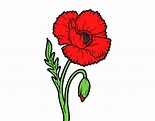 Dibujo de Una flor de amapola pintado por en Dibujos.net el día 25-08 ...