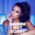 Demi Lovato – Sorry Not Sorry (Clean) Lyrics | Genius Lyrics