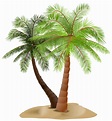 Palmera PNG