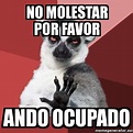 Meme Chill Out Lemur - no molestar por favor ando ocupado - 4019780