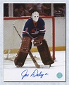Joe Daley Winnipeg Jets Autographed Classic WHA Goalie 8x10 Photo - NHL ...
