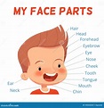 Child Learning Poster. Parts of the Boy`s Face with Signed Names Stock ...