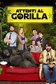 Attenti al Gorilla - Warner Bros. Entertainment Italia