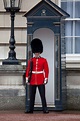 Buckingham Palace Guards / Very Few Know The History Of The Queens ...